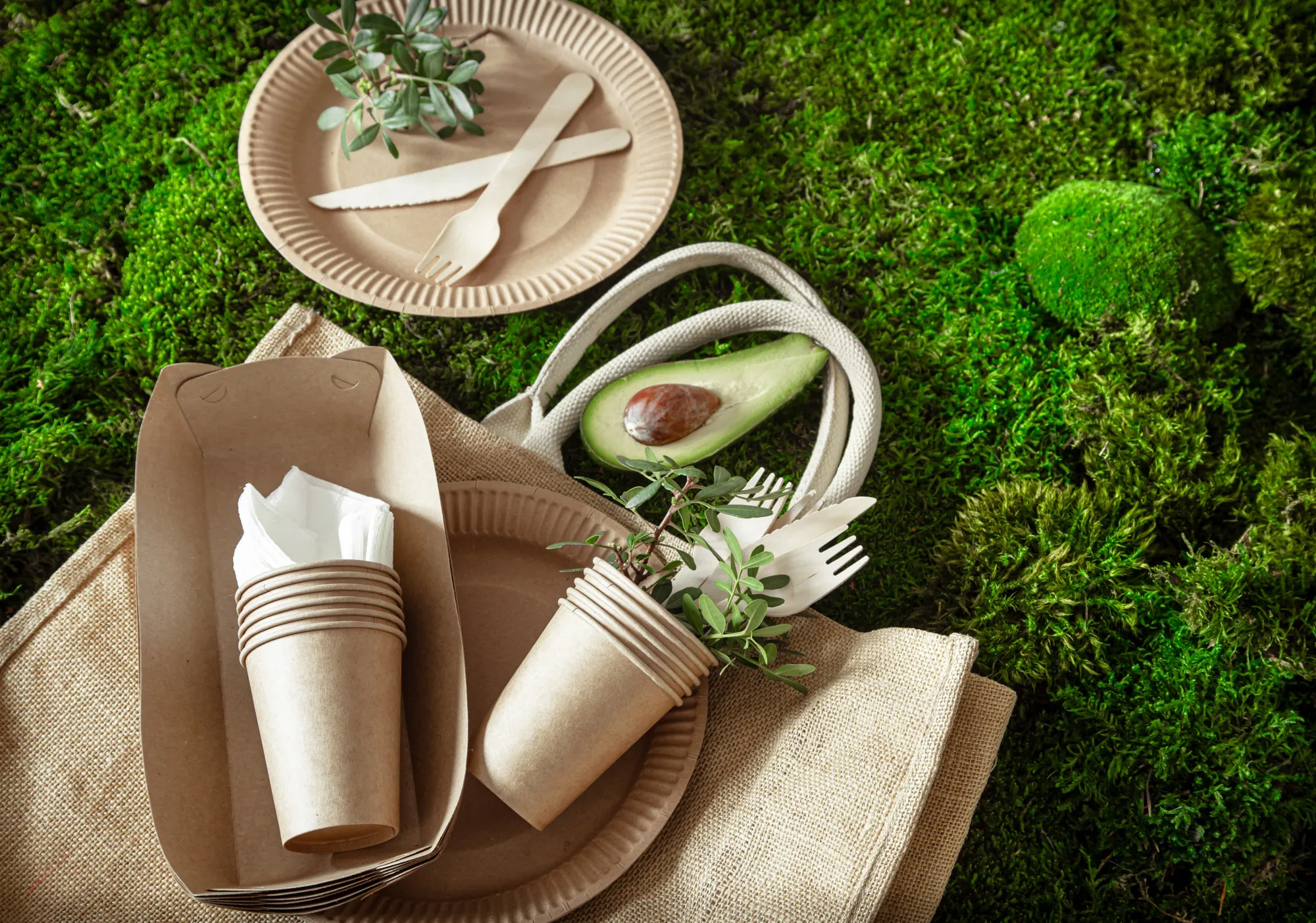 Diferencia biodegradable compostable en envases