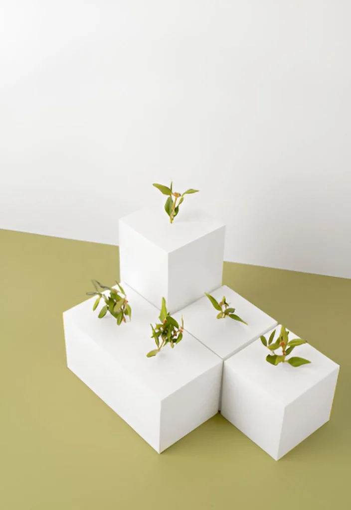 Análisis huella de carbono empaques biodegradables Doeco