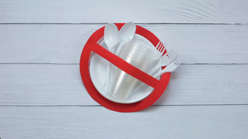ley plásticos Ecuador 2024 negocios sostenibles