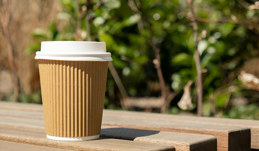 transformación cafetería empaques biodegradables sin plásticos