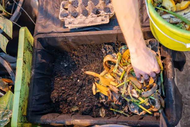 ciencia del compostaje doméstico e industrial