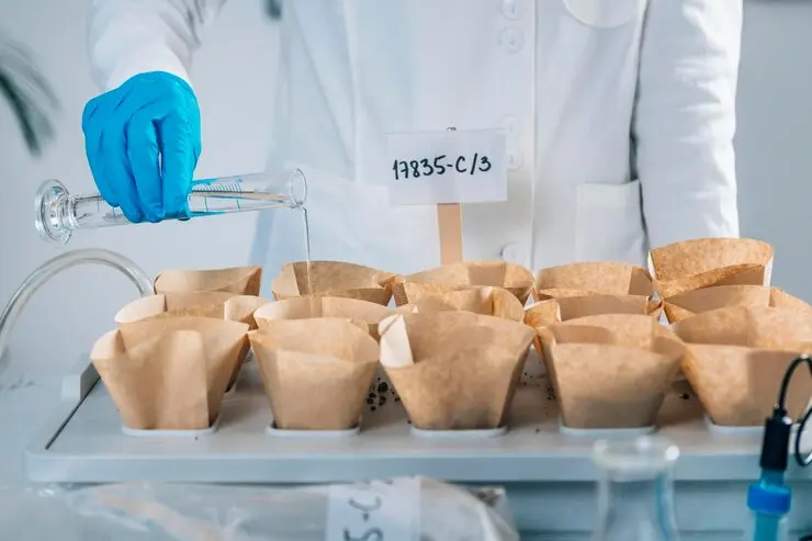 empaques biodegradables para el sector salud hospitales