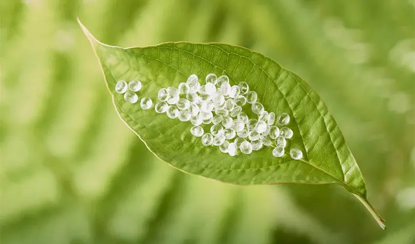 materiales biodegradables para empaques PLA