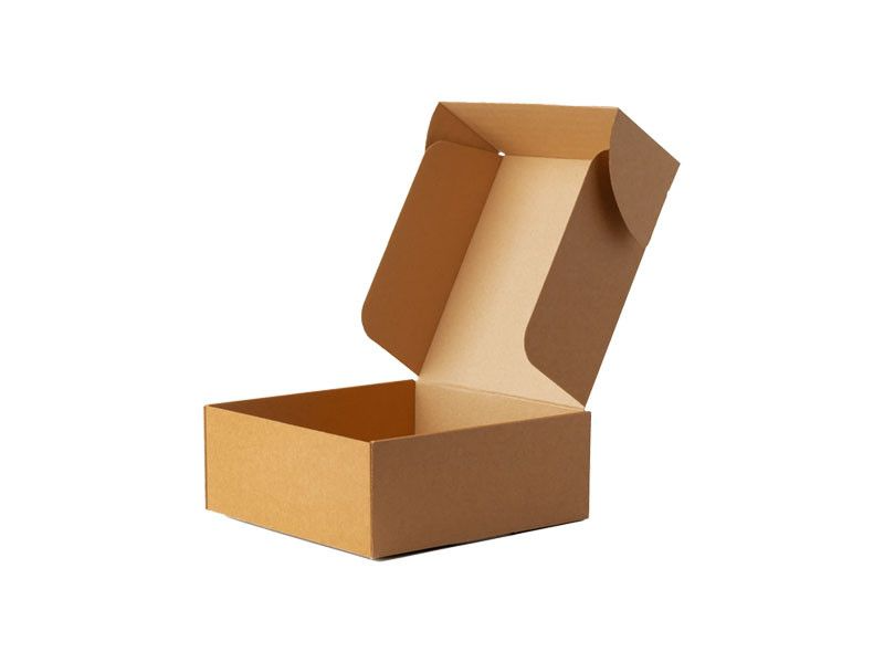 empaque de cartón biodegradable