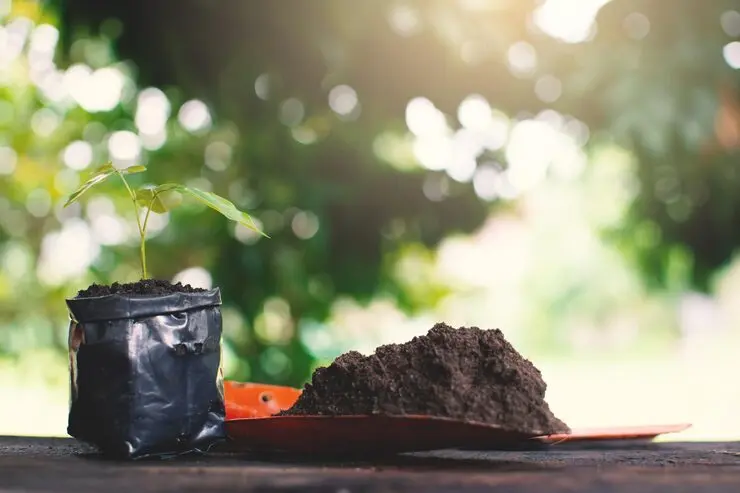 resultado de compostar empaques biodegradables