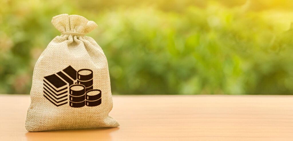 análisis de costos empaques biodegradables en Ecuador