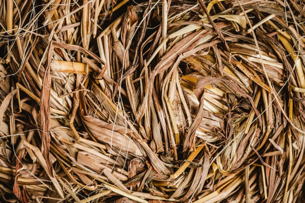 empaques del futuro alimentaria Ecuador