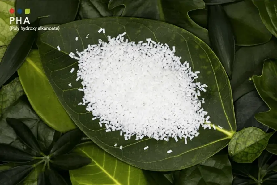 biodegradación bioplástico PHA PBAT PLA