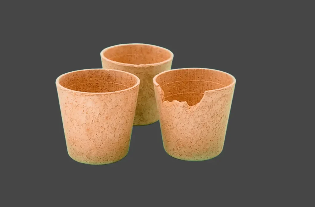 empaques comestibles Ecuador