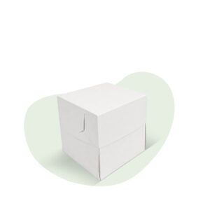 Caja Multiproposito 10